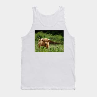 Highland cattle in field Tank Top